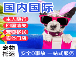 重庆空运公司国际宠物托运 【国